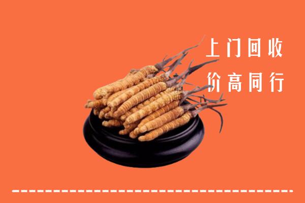 高价求购：崇左市回收散虫草
