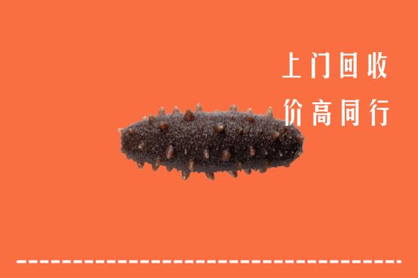 高价求购：崇左市回收海参