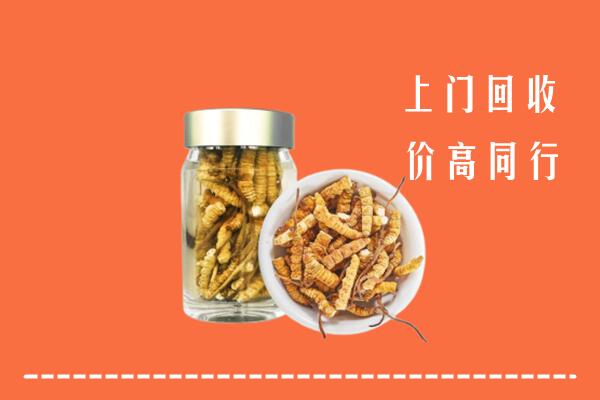 崇左市回收冬虫夏草