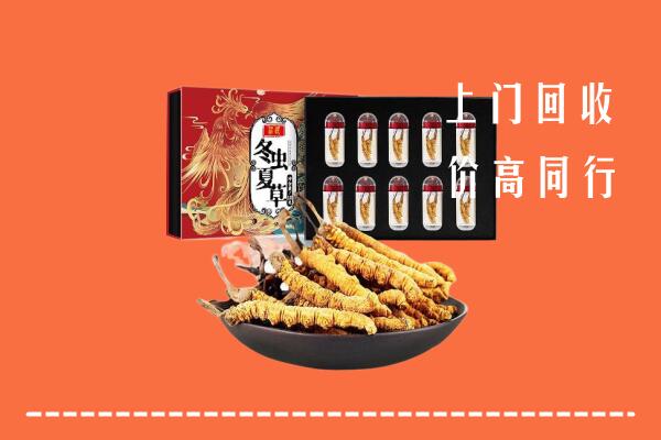 崇左市回收虫草